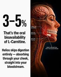 Helios™ | Buccal Absorption L-Carnitine for Fat Burning & Endurance ...