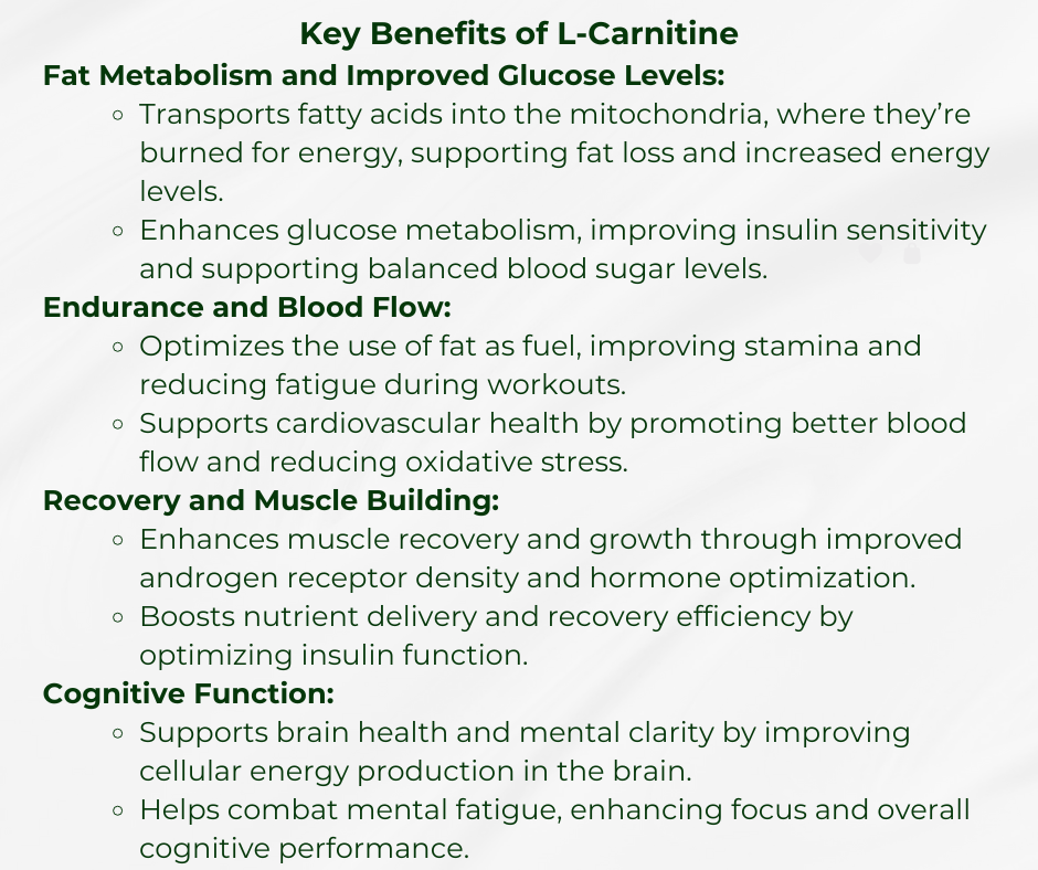 how much l carnitine injection per day L-Carnitine 100mg/ml 100ml how much l carnitine injection per day L-Carnitine 100mg/ml 100ml